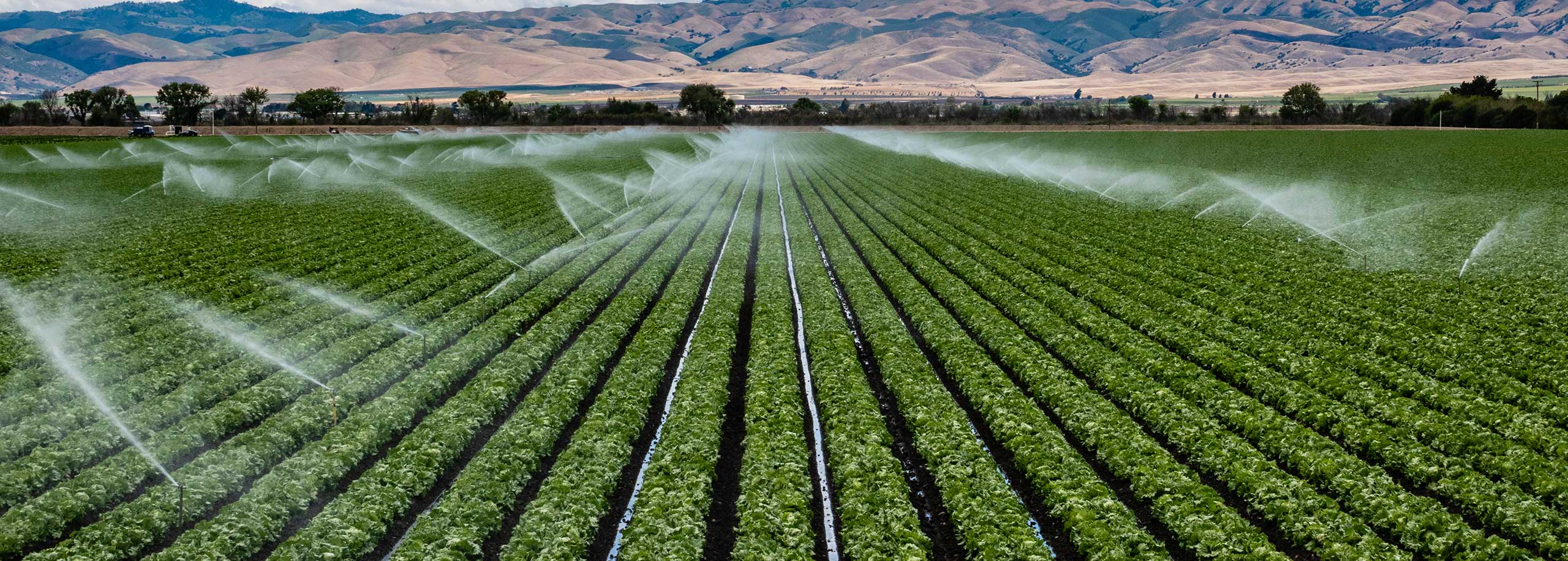 HOFER Automated Fertilizer System